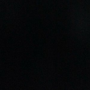 Meet your Posher, Trevor